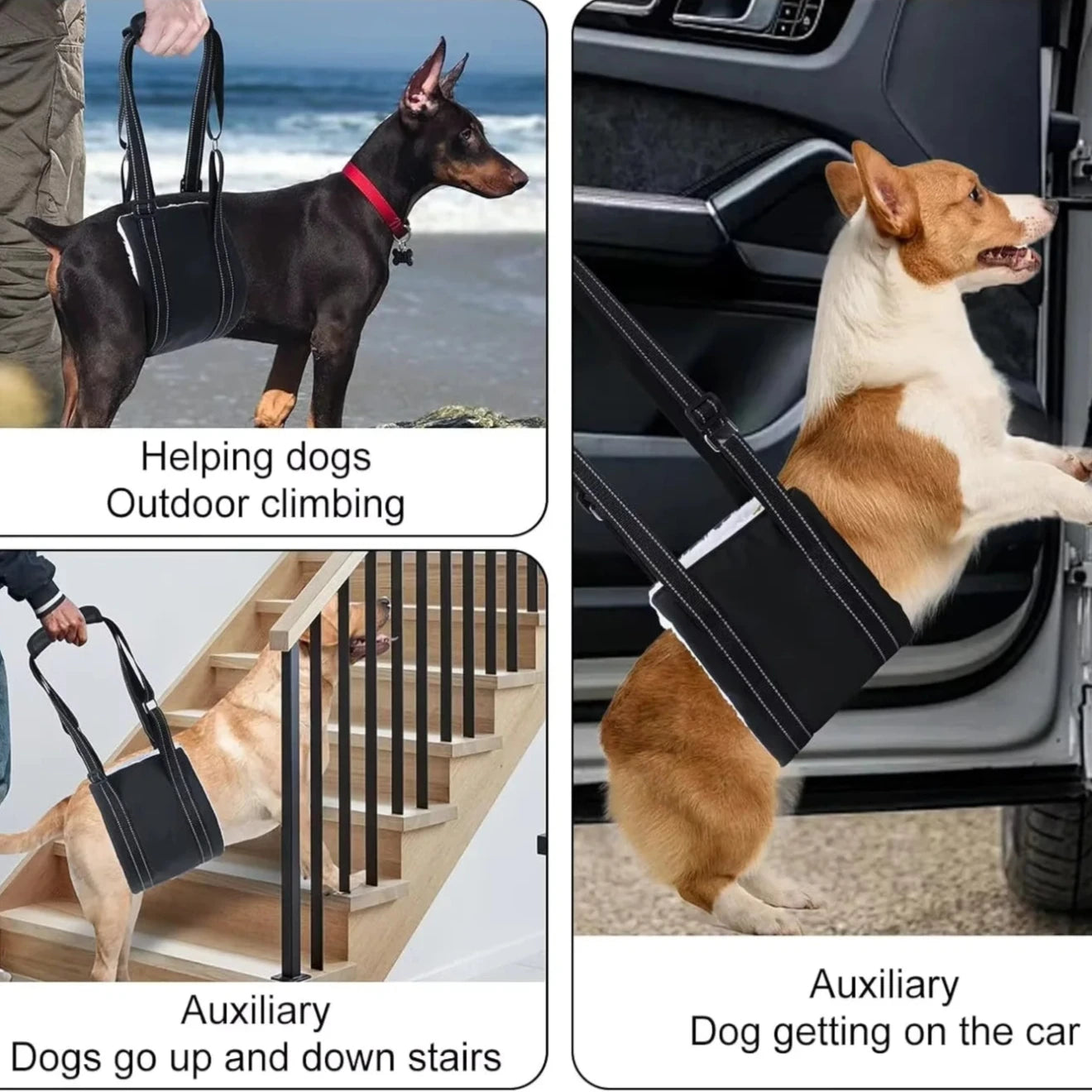 Padded Dog Sling for Back Legs support | All size dogs