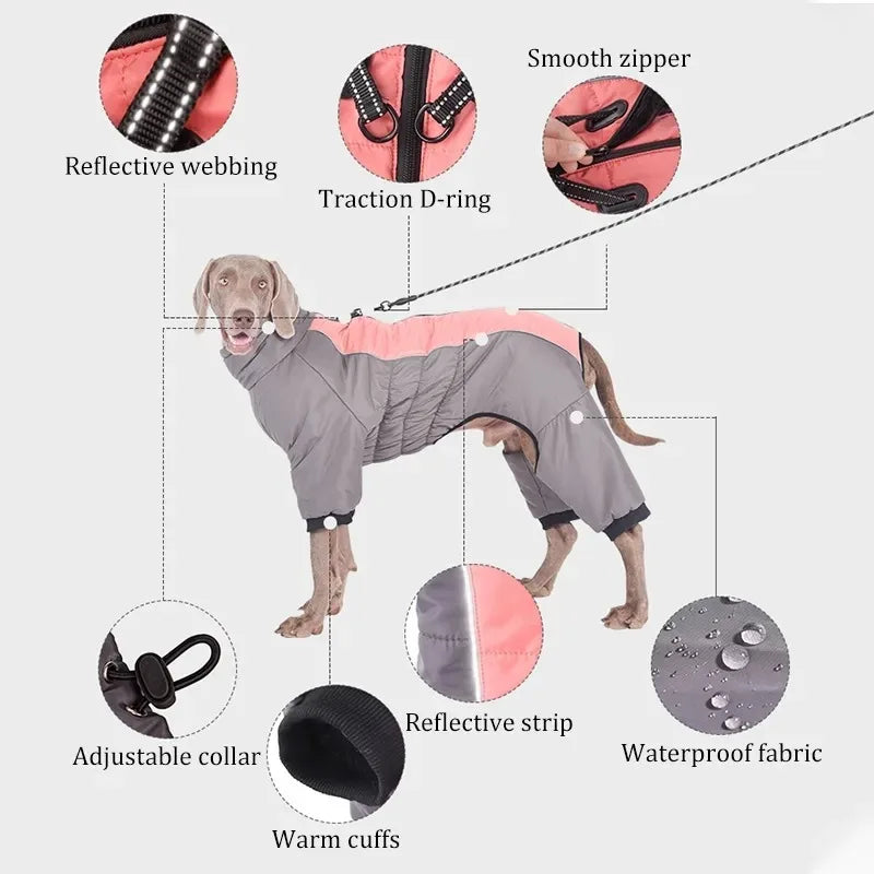 Big Dog Winter Coat