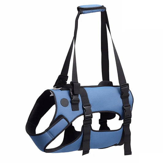 Blue dog harness with black straps on a white background
