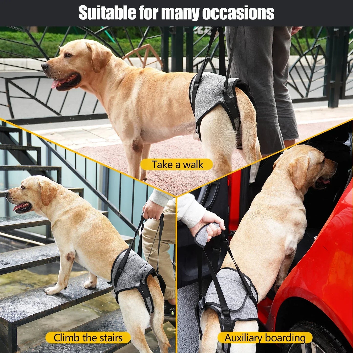 Adjustable Dog Lift Harness for Rear Leg Support