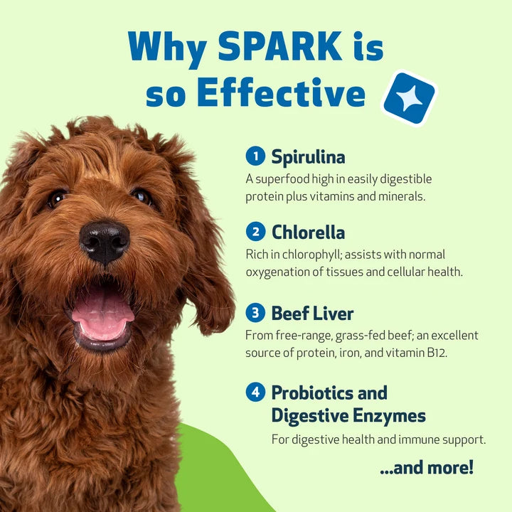 Spark Daily Nutritional Superfood for Senior Dogs
