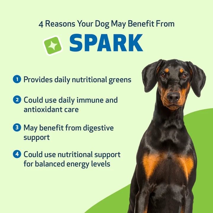 Spark Daily Nutritional Superfood for Senior Dogs