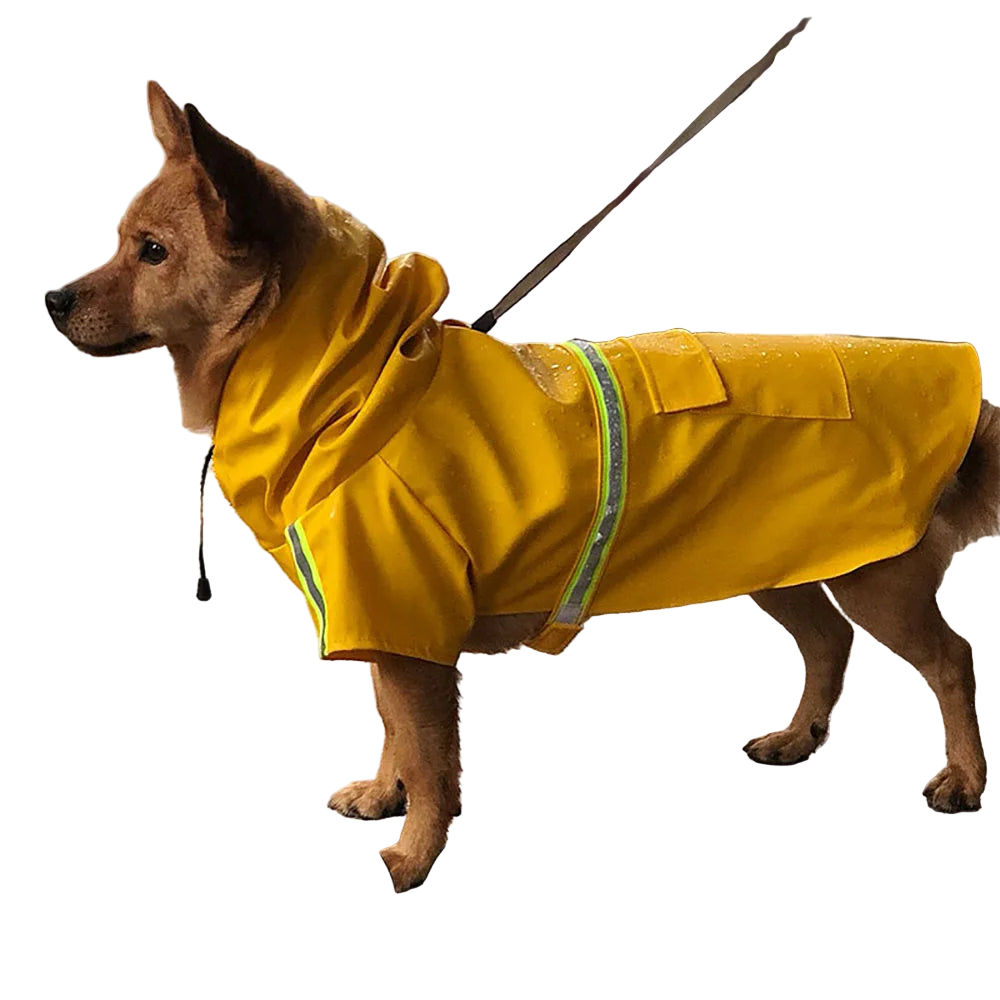 Waterproof Dog Raincoat with Reflective Trim
