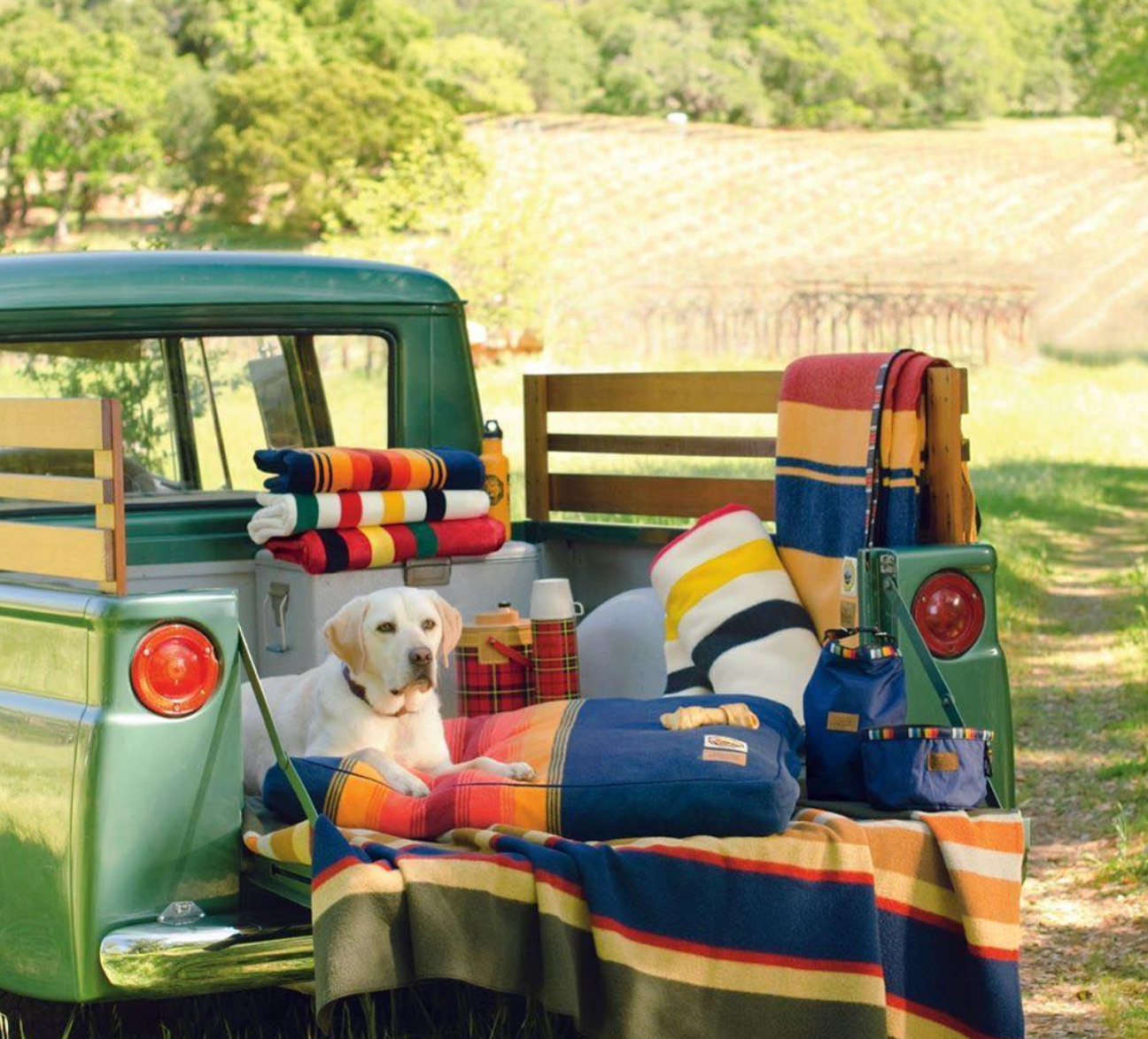 Pendleton Dog Bed - Grand Canyon National Park