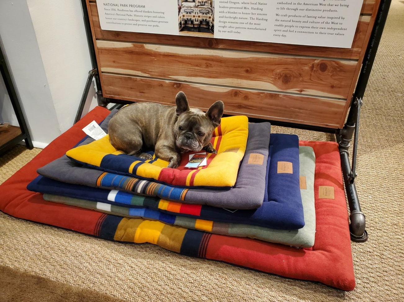 Pendleton Sleeping Dog Mat - Grand Canyon National Park