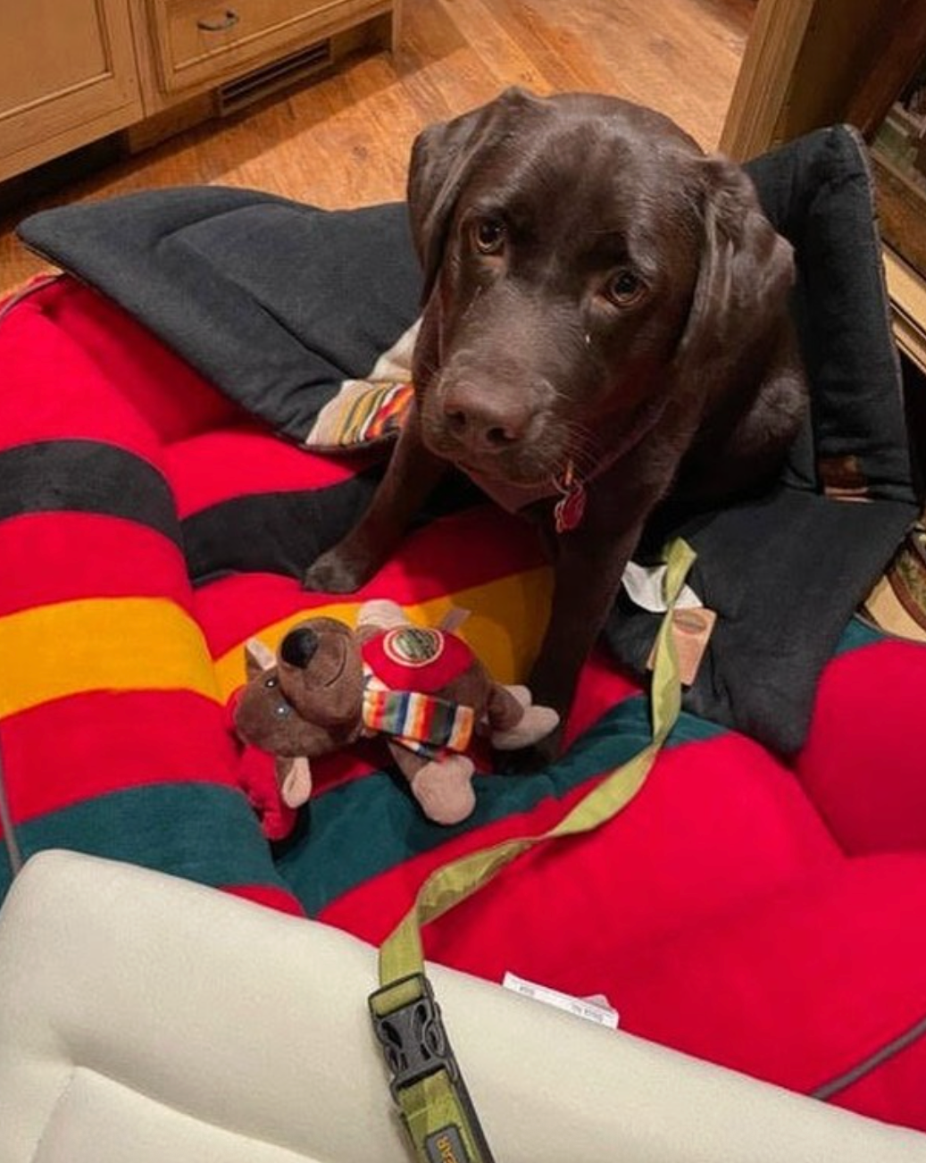 Pendleton Sleeping Dog Mat - Grand Canyon National Park