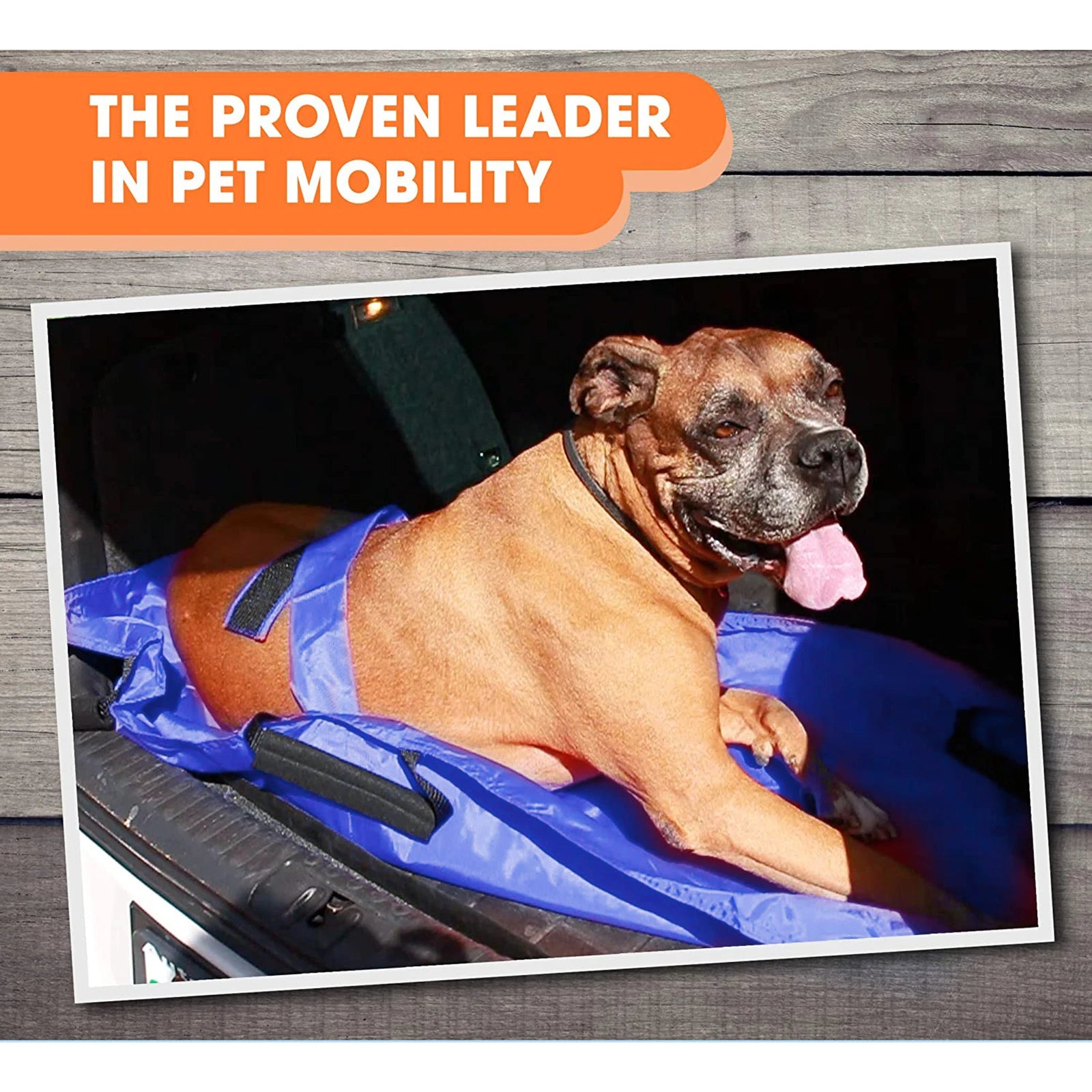 Stretcher for Dogs | IloveLeia