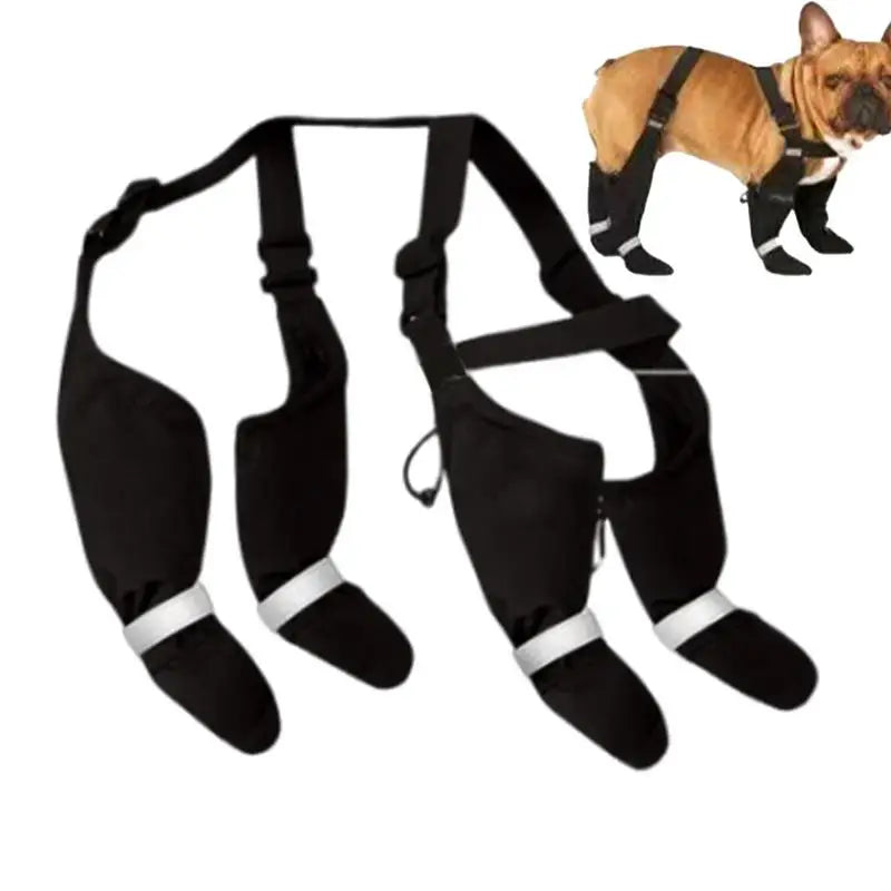 Suspender Dog Boots