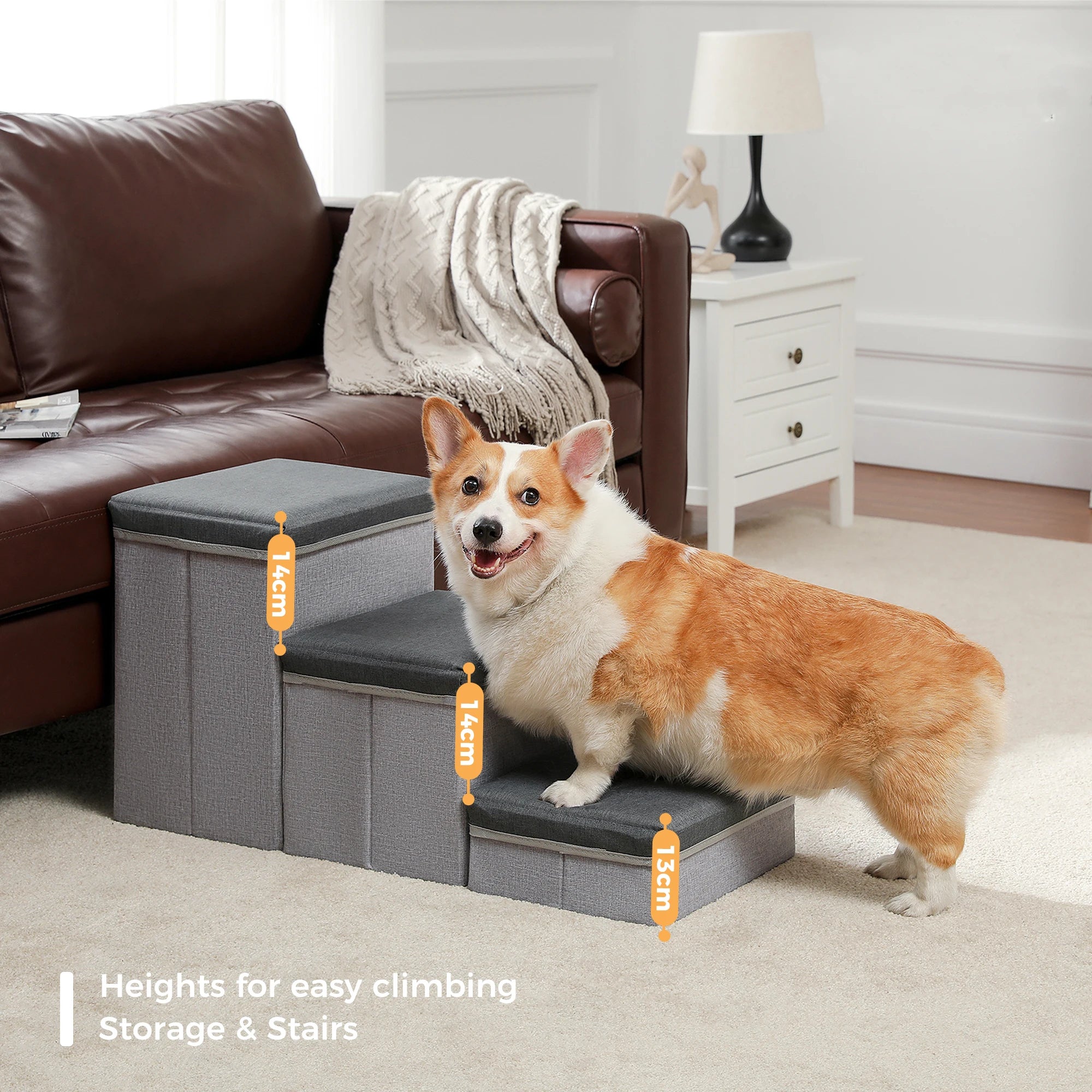 Foldable Dog Steps for Small Dogs
