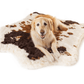 Dog lying on a cowhide rug with a white background