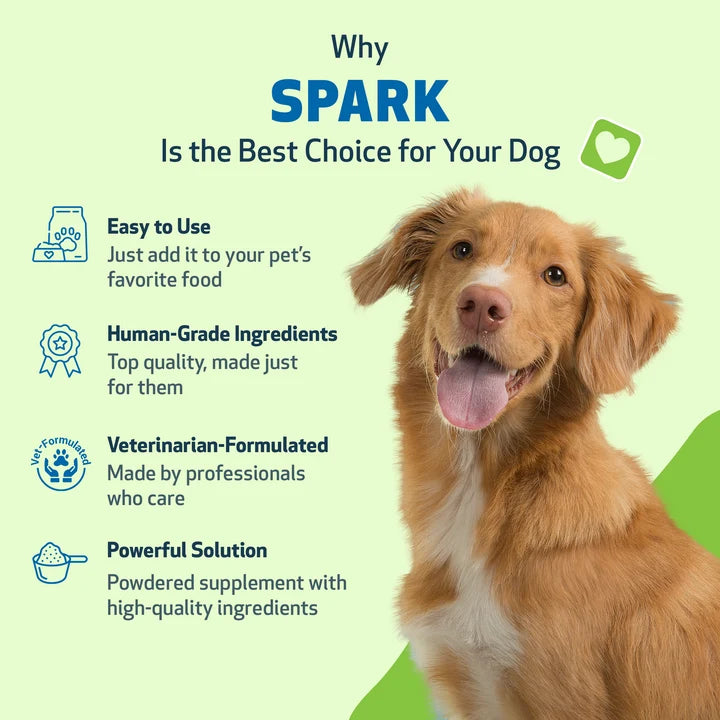 Spark Daily Nutritional Superfood for Senior Dogs