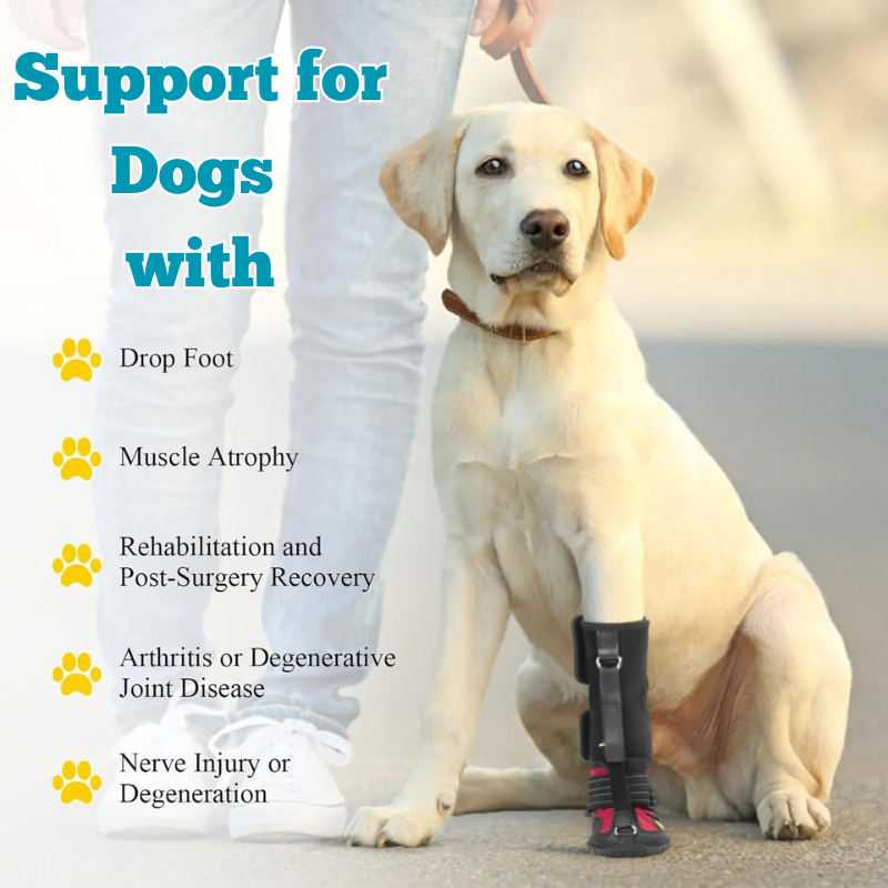 No-Knuckling Boot Brace for Dogs