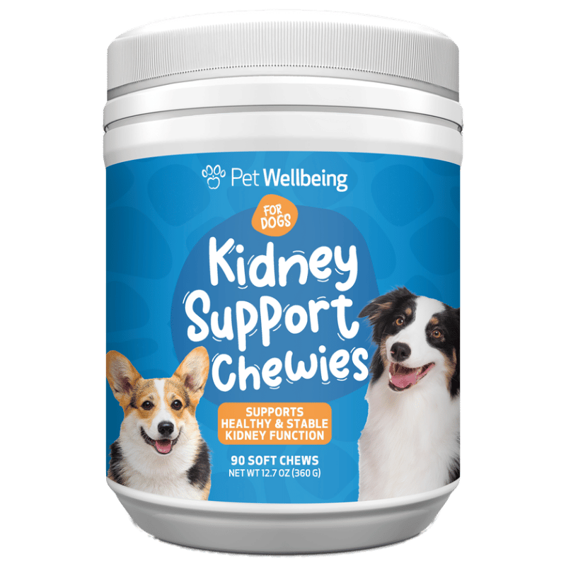 Kidney Disease Supplement for Dogs | Pet Wellbeing Kidney Support Gold