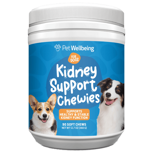 Kidney Disease Supplement for Dogs | Pet Wellbeing Kidney Support Gold