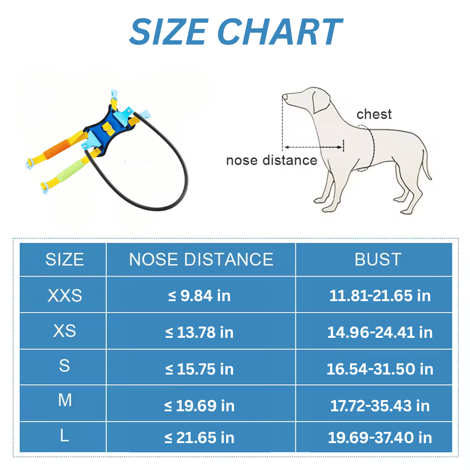 Dog Halo for Blind Dogs