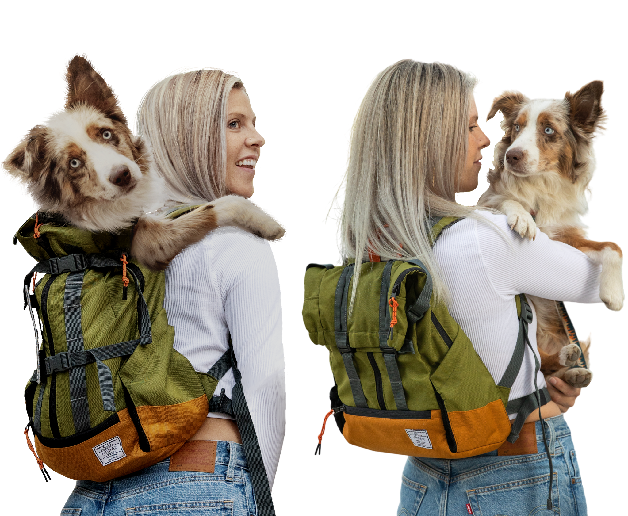2 in 1 Dog Carrier & Laptop Backpack | Urban 3