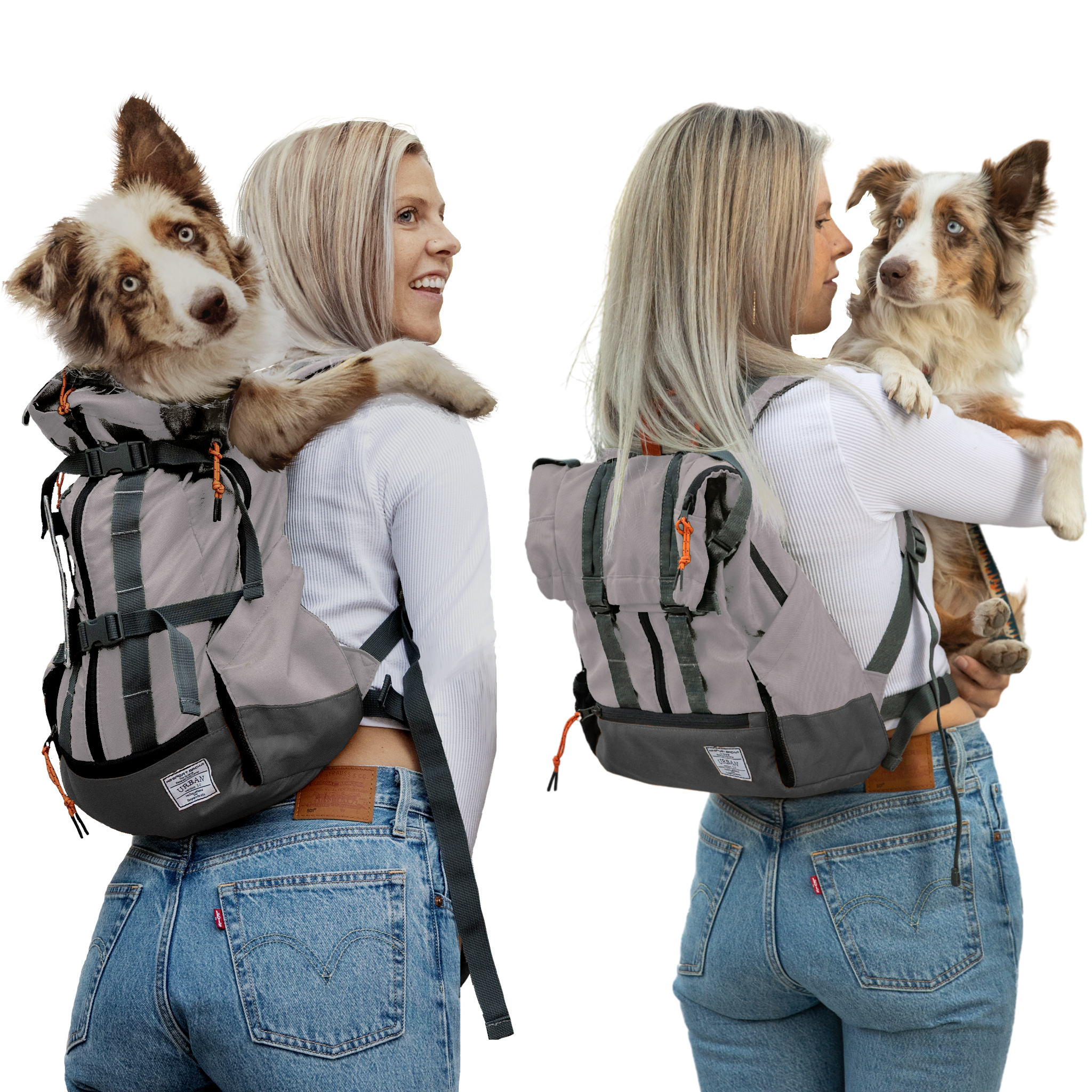 2 in 1 Dog Carrier & Laptop Backpack | Urban 3