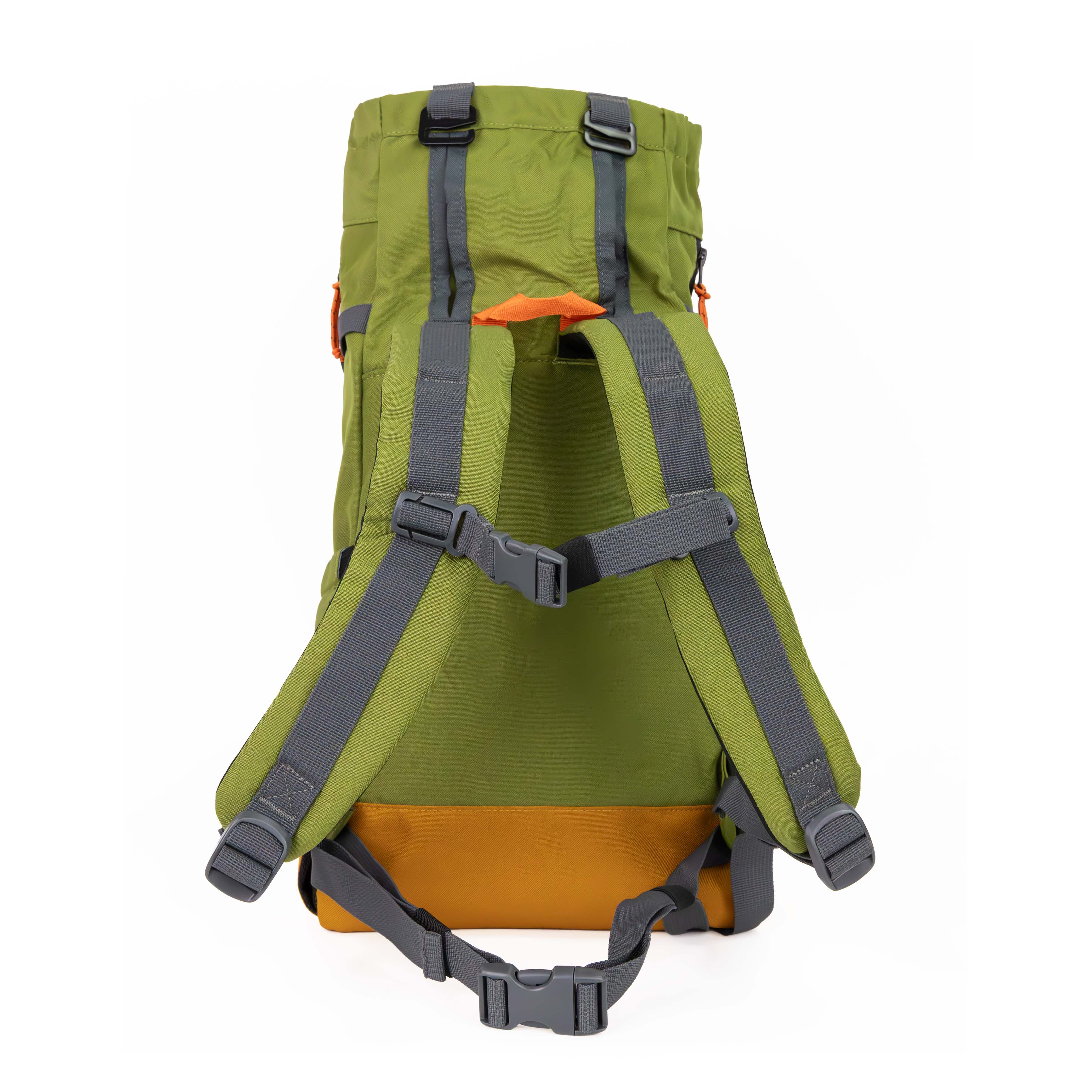 2 in 1 Dog Carrier & Laptop Backpack | Urban 3