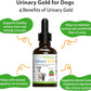 Urinary Gold Pet Wellbeing Urinary Health for Dogs