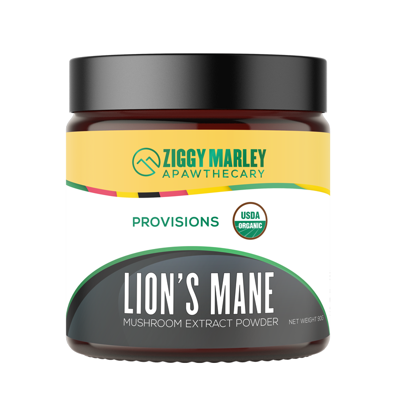 A jar of Ziggy Marley Apawthecary Lion's Mane Mushroom Extract Powder for Dogs with a label that includes the product name and the brand logo.
