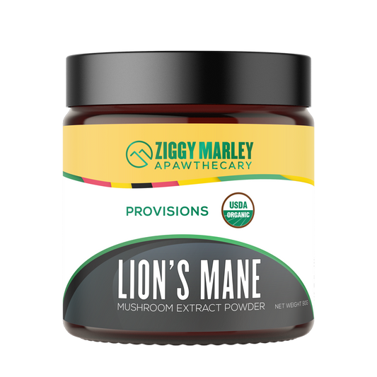 Lion's Mane for Dogs | Ziggy Marley Apawthecary