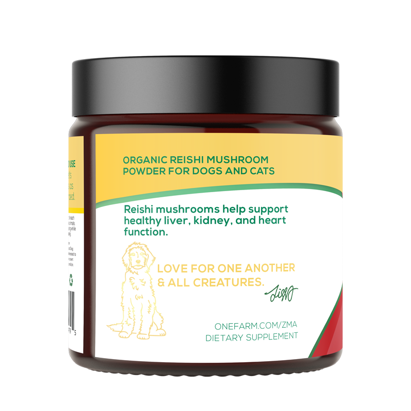 Reishi Mushroom for Dogs | Ziggy Marley Apawthecary