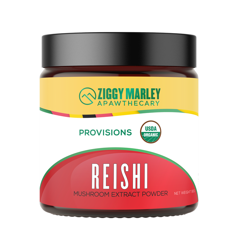 Reishi Mushroom for Dogs | Ziggy Marley Apawthecary