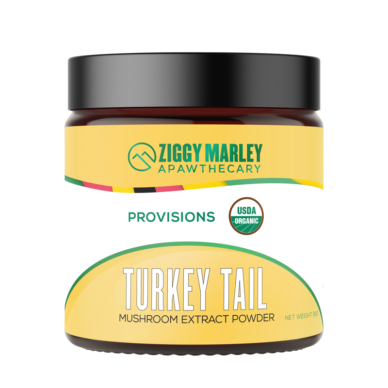 A jar of Ziggy Marley Apawthecary Turkey Tail Mushroom Extract Powder, labeled as USDA Organic and containing 45 servings.