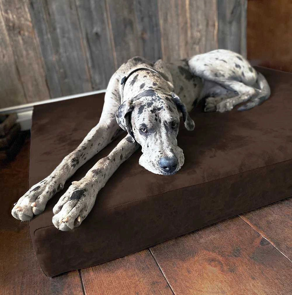 7" Orthopedic Memory Foam Dog Bed Sleek Edition | Big Barker