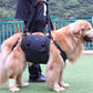 Dog Lift Harness | Full body support for Large and Extra Large Dogs