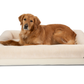PupChill™ Cooling 4-Bolster Dog Bed
