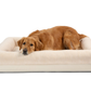 Dog lying on a beige pet bed with a white background