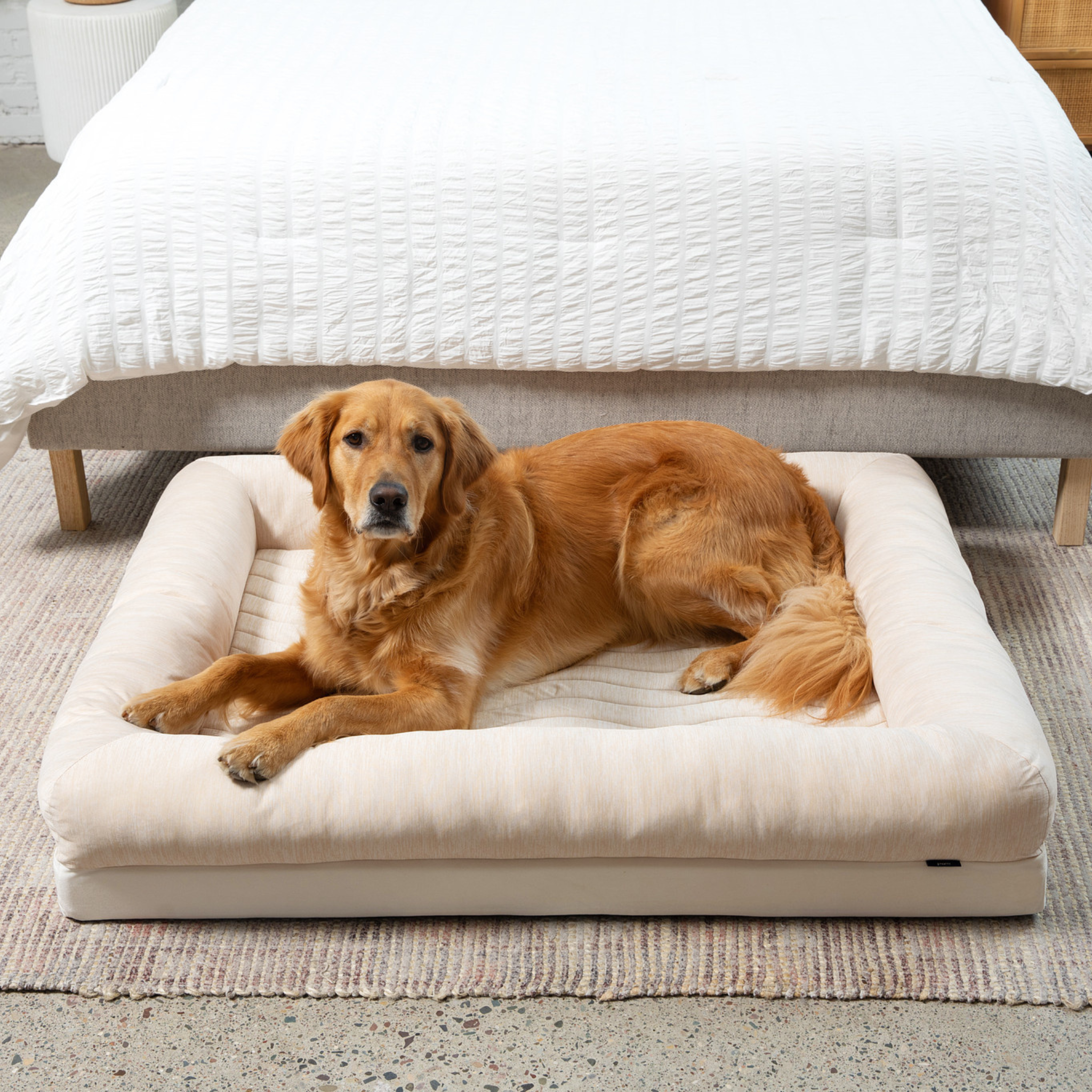 Dog lying on a large pet bed in a bedroom setting