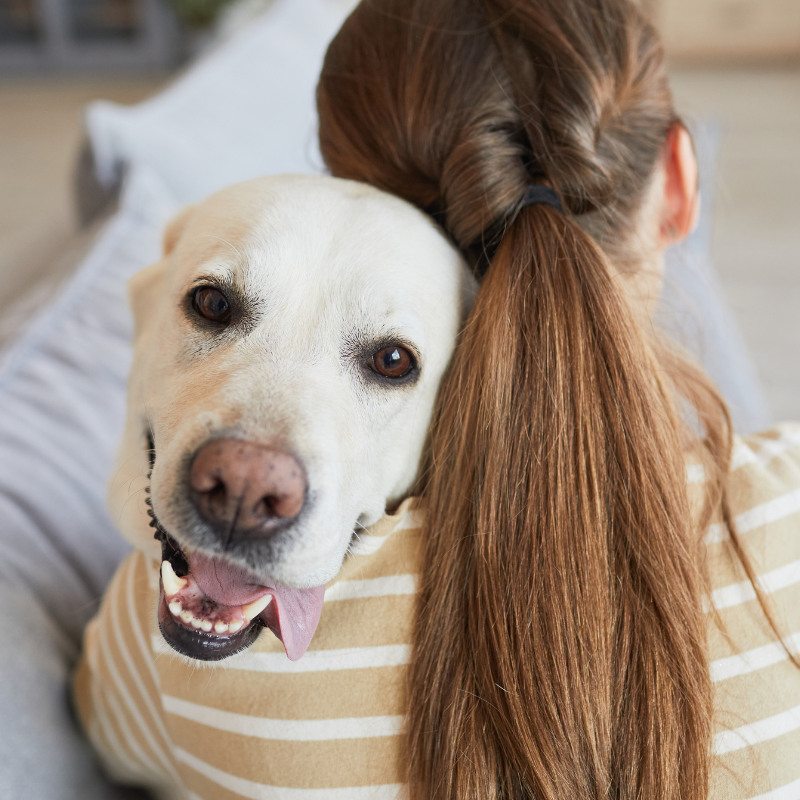 Understanding cancer in dogs