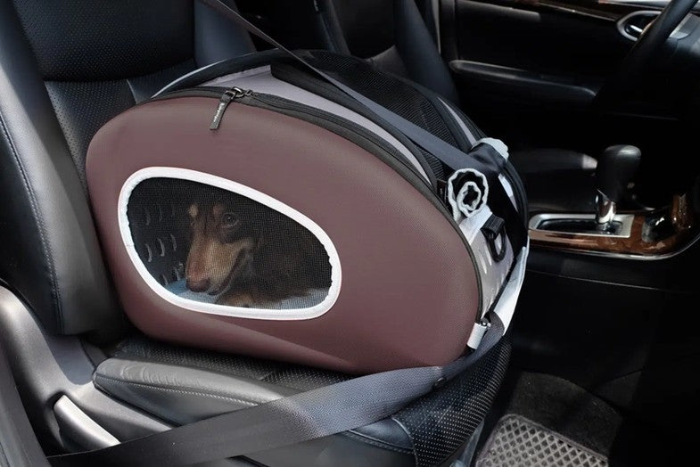 Dog Travel Carrier