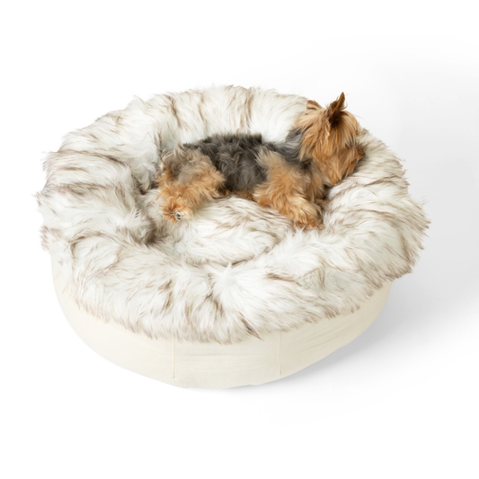 Dog lying on a fluffy white pet bed against a white background