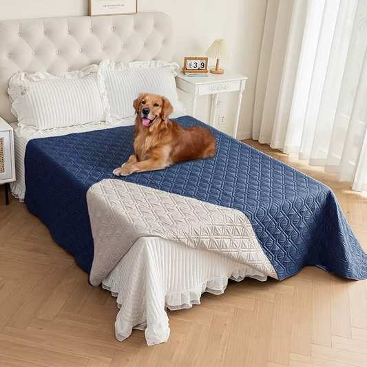 Waterproof Bed and Couch Protector