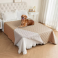 Waterproof Bed and Couch Protector