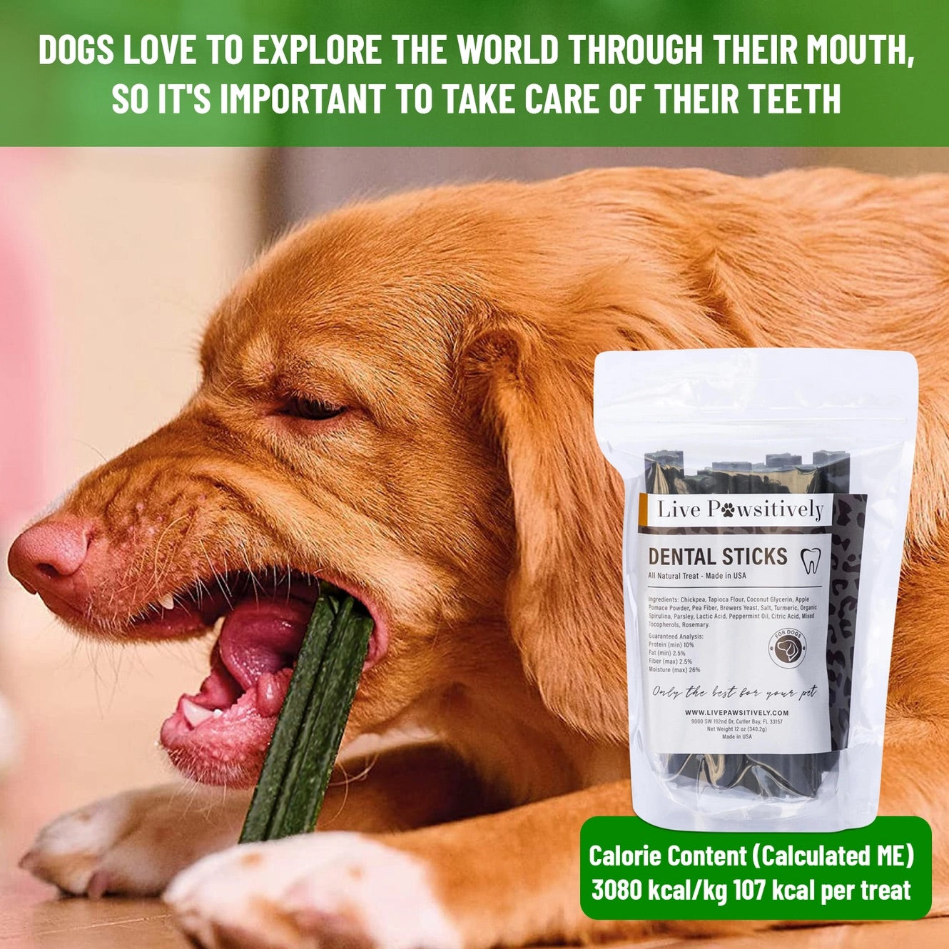 Healthy Dental Sticks for Dogs