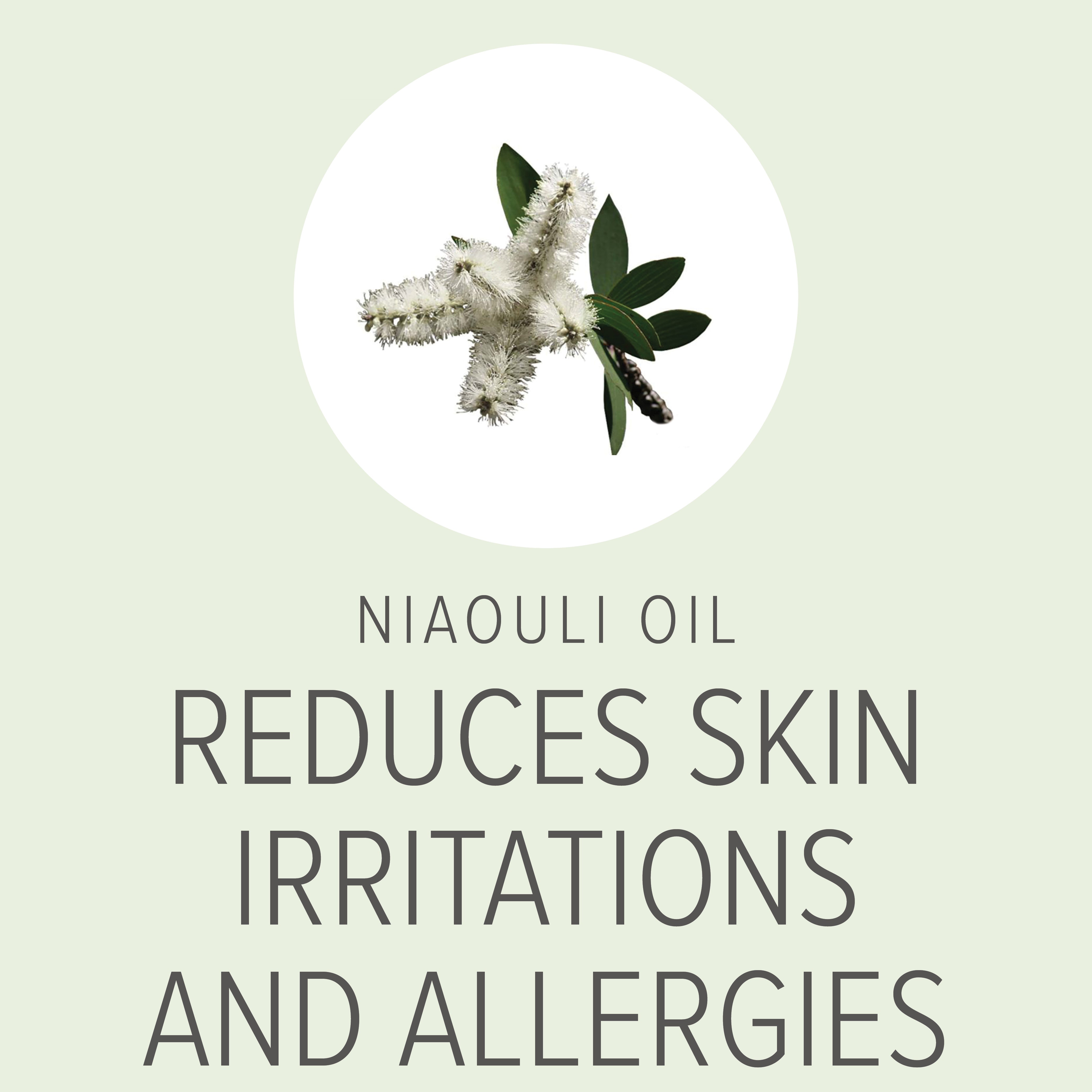 Itch Relief Organic Shampoo | Pure and Natural Pet