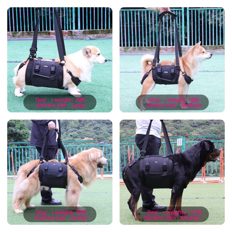 Full Body Dog Lifting Harness
