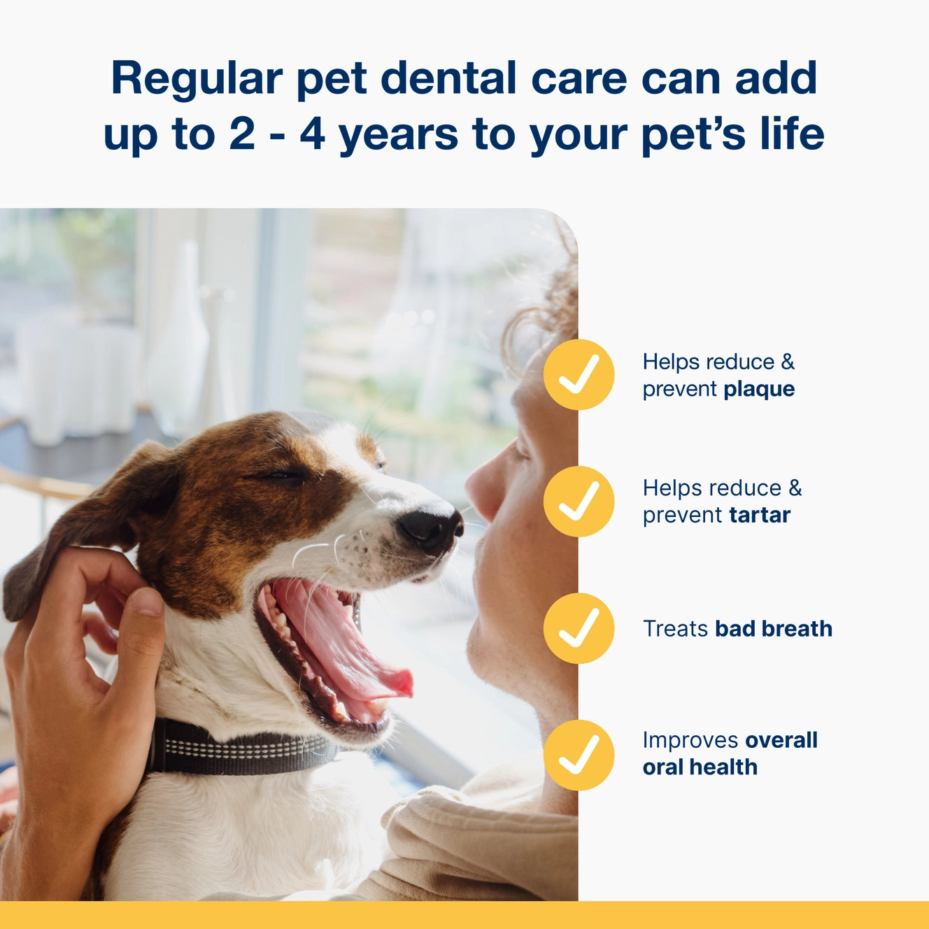 PlaqueOFF Powder | ProDen