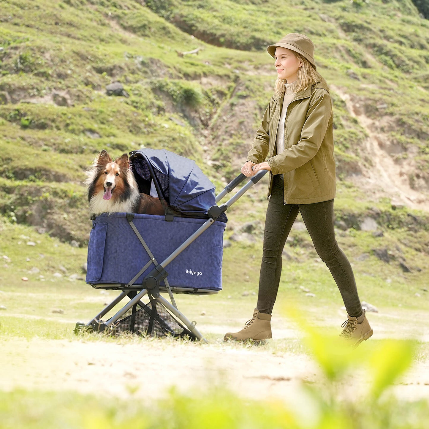 Extra spacious Deep Cabin Dog Stroller | Ibiyaya