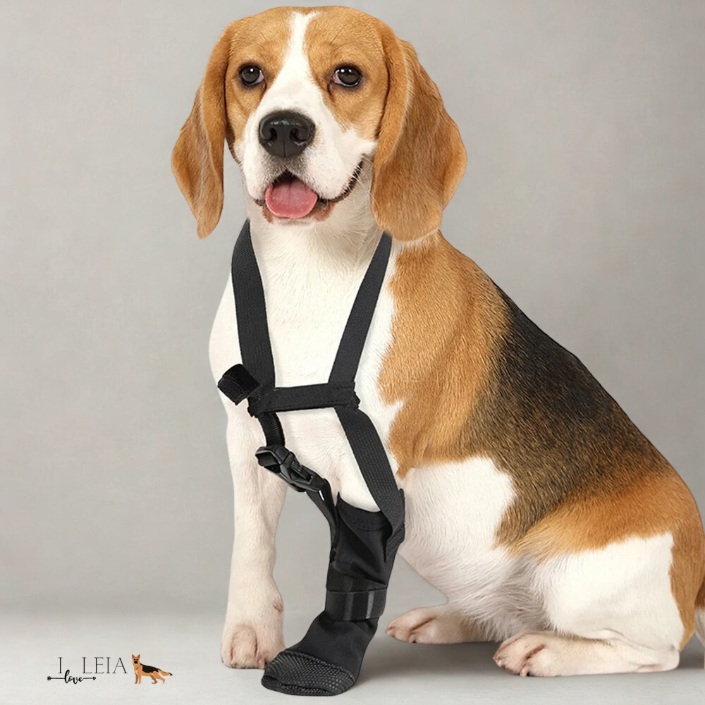 Dog Paw Protector Boot Water-Resistant Recovery Footwear for Post-Surgery Healing
