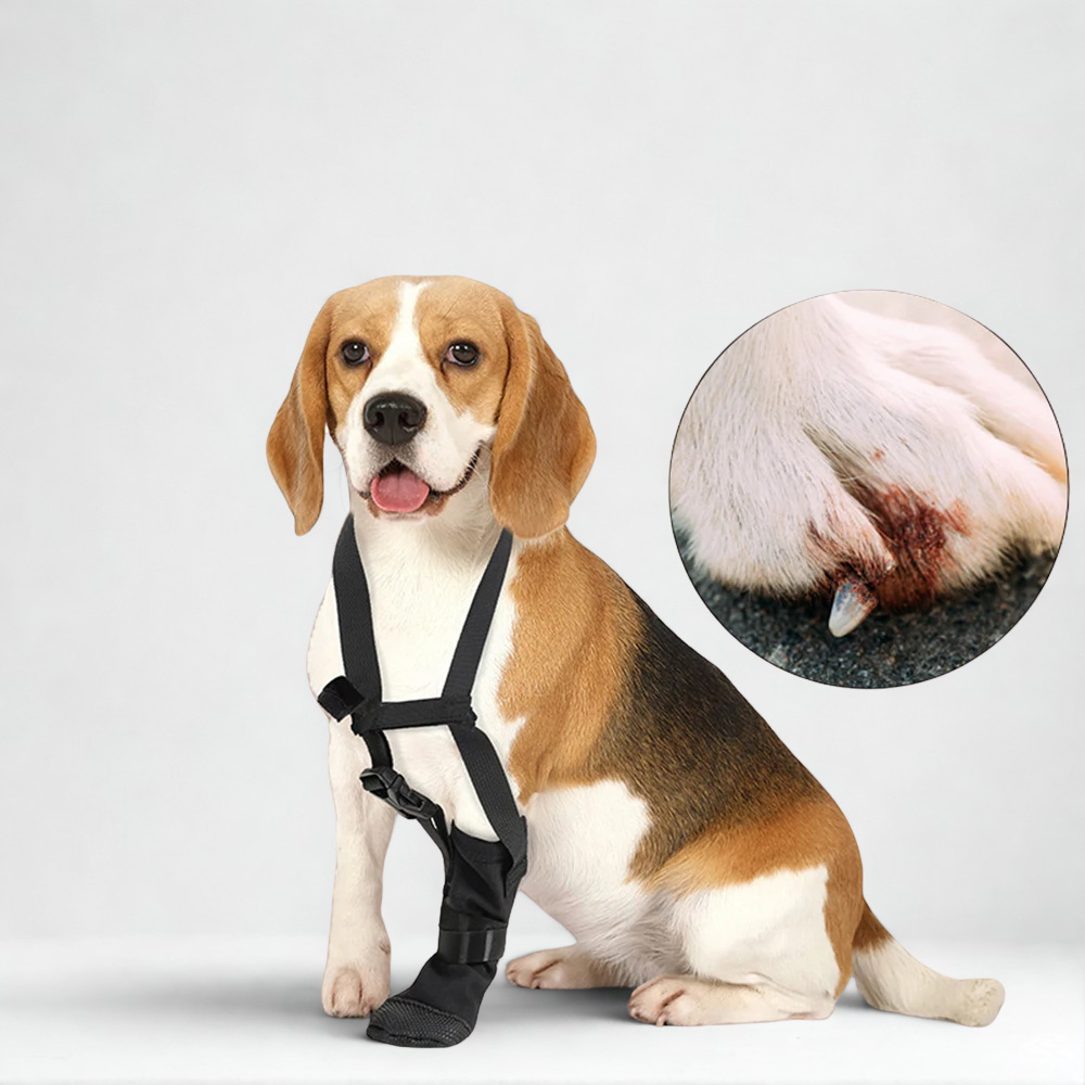 Dog Paw Protector Boot Water-Resistant Recovery Footwear for Post-Surgery Healing