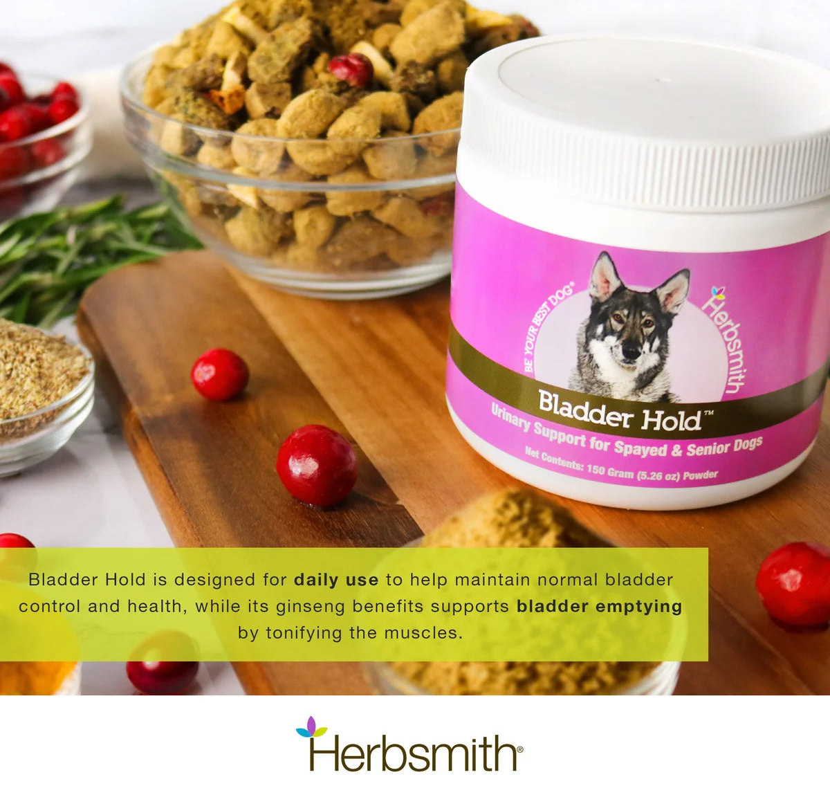 Dog Bladder Control in Senior and Spayed Dogs | Herbsmith Bladder Hold