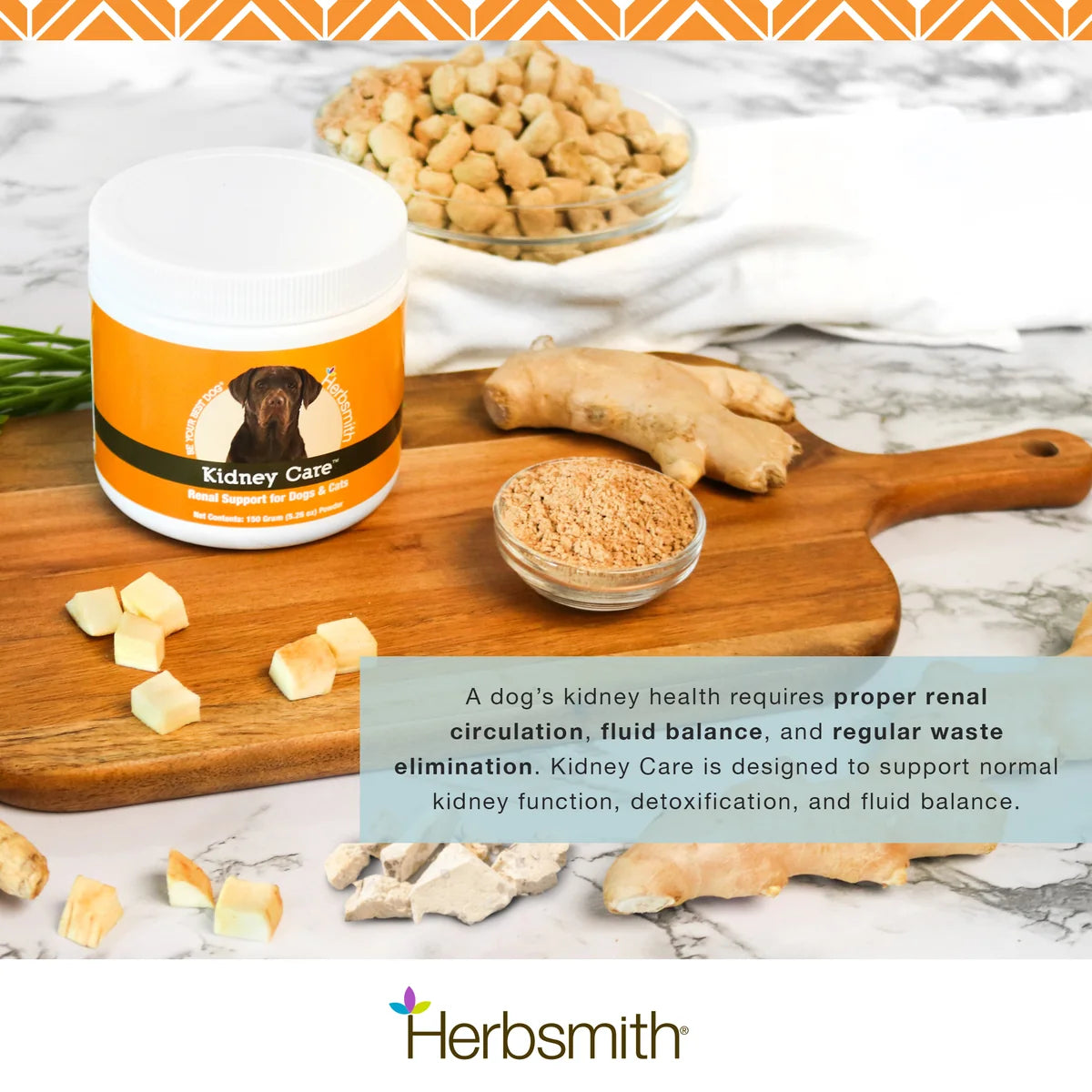 Kidney Care Renal Support for Dogs | Herbsmith