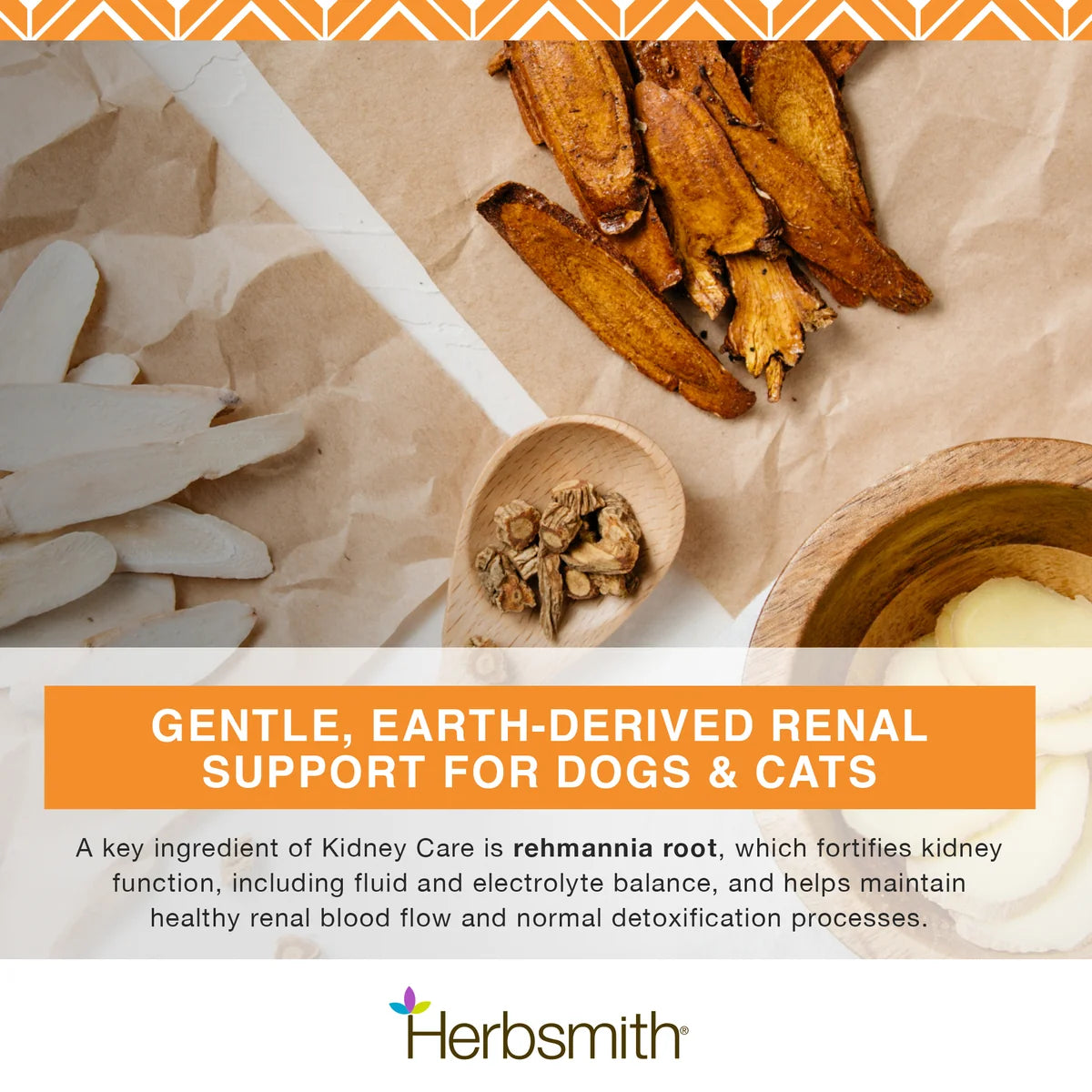 Kidney Care Renal Support for Dogs | Herbsmith