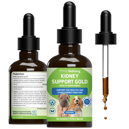 Kidney Disease Supplement for Dogs | Pet Wellbeing Kidney Support Gold