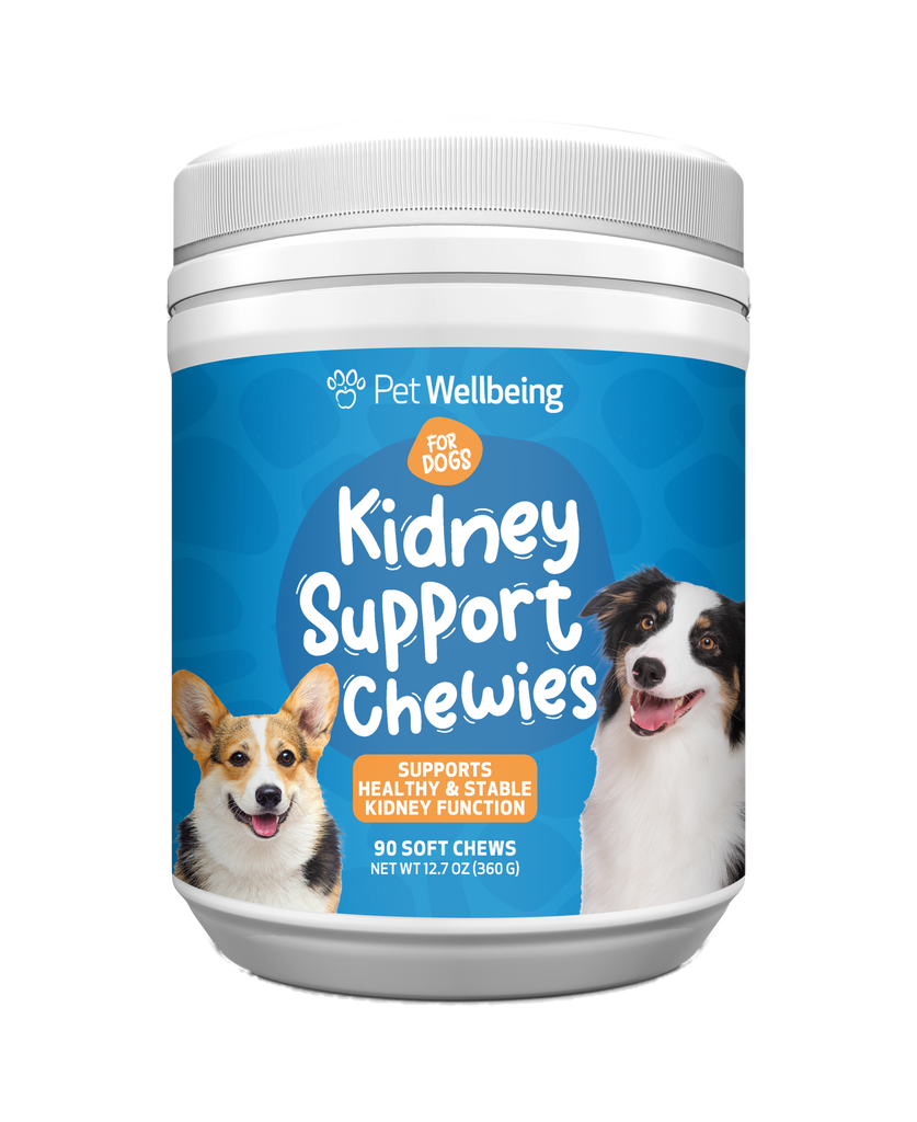 Container of Pet Wellbeing Kidney Support Chewies for dogs on a white background